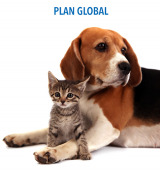 Seguro Plan Global Para Gatos